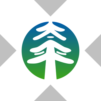 CTINSx logo — tokenized China Taiping Insurance stock on Solana